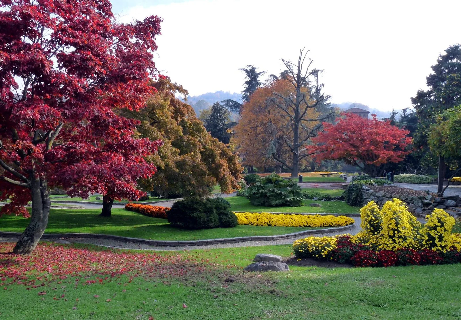 Parco del Valentino in autunno con aceri rossi, alberi dorati, aiuole di crisantemi gialli e la collina sullo sfondo